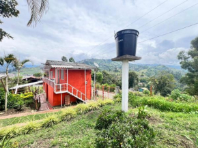 Bella vista